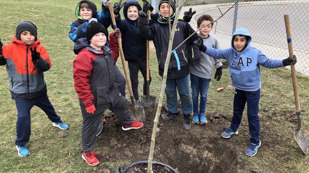 Children planting a large caliper tree in their schoolyard