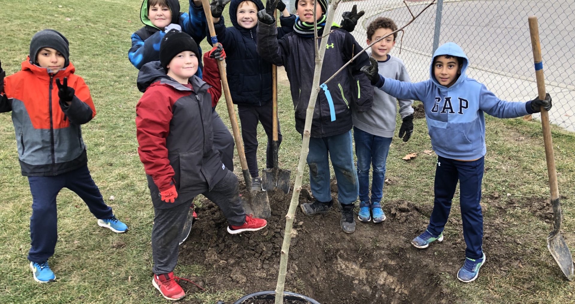 Children planting a large caliper tree in their schoolyard
