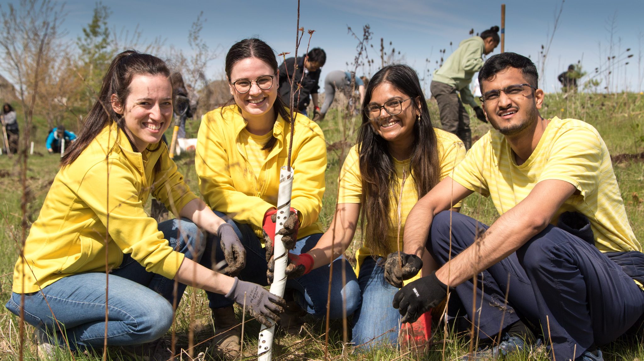 group-volunteering-reforest-london